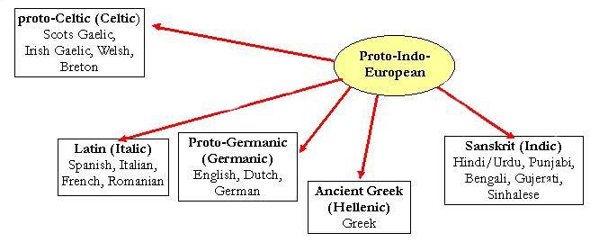 branches of Indo-European languages
