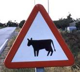 http://www.raspbrry.demon.co.uk/roadsigns/cow/cow-pt-1.jpeg