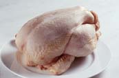 chicken breast