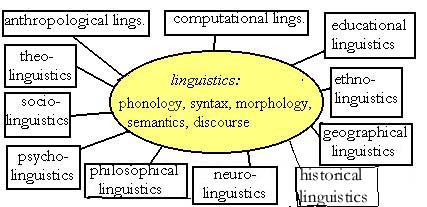 Branches of linguistics
