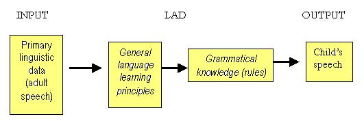 Chomsky's LAD